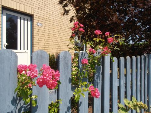 a white picket fence with pink flowers on it at Ferienhaus Undine, ruhige Lage, Nähe zur Altstadt, nur 500 m zur Müritz mit Strand, mit Parkplatz und Fahrradhäuschen in Waren