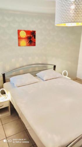 a bed with two pillows on it in a room at Maison du Lac - jusqu'à 4 personnes in Rémire-Camp