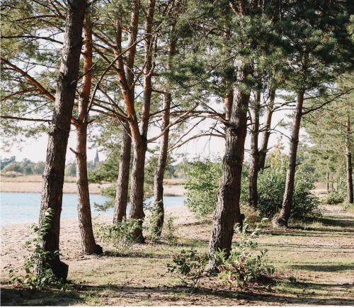 a group of trees in a field next to a river at Bajka Hotel & Resort in Grodziec