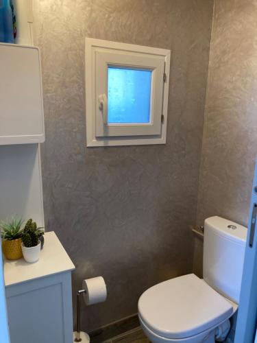 a bathroom with a toilet and a window at Le clos des Arvernes in Corent