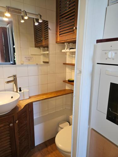La petite salle de bains est pourvue d'un lavabo et de toilettes. dans l'établissement Appart T2 Quartier Beaujardin, à Tours