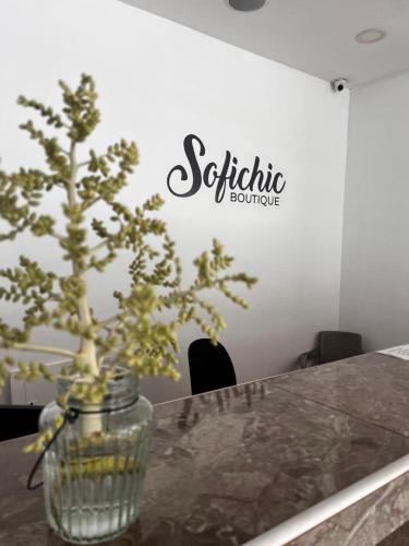 a plant in a vase sitting on a table at Apartahotel y Hotel Sofichic Boutique in Barranquilla
