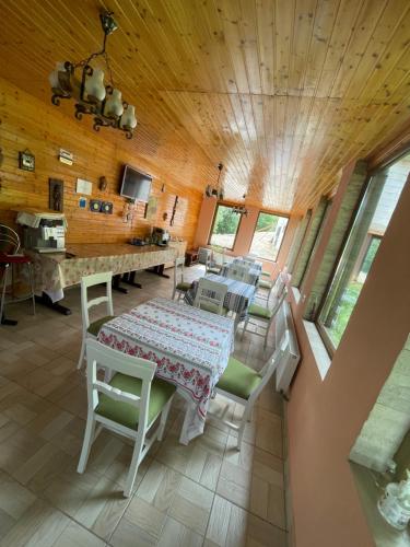 a kitchen and dining room with a table and chairs at Pensiunea Alexolar in Mătişeşti