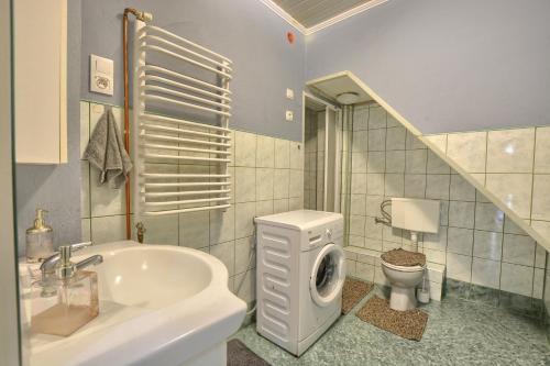 a bathroom with a sink and a washing machine at Noclegi u Kanara in Lutowiska