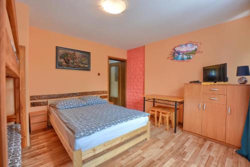 a bedroom with a bed and a desk and a television at Noclegi u Kanara in Lutowiska