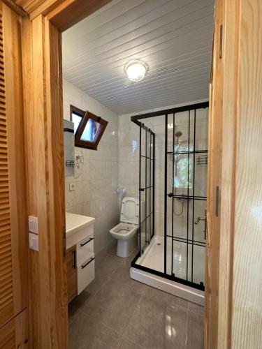a bathroom with a toilet and a glass shower at Incekum Pansiyon in Bodrum City