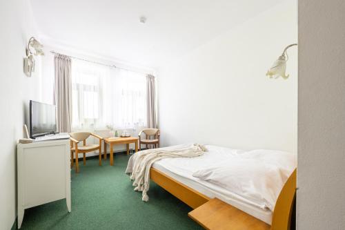 a bedroom with a bed and a table with a television at Willa Bór in Zakopane