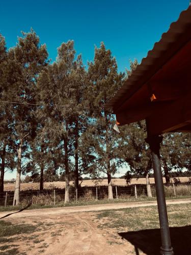 Don Segundo – Photos 4