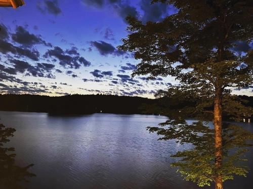 a view of a lake with trees and a cloudy sky at Camp Lake Bear in South Colton