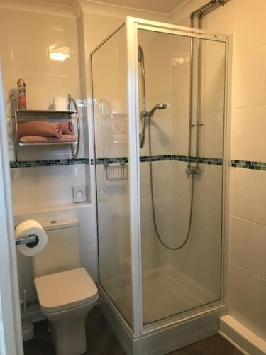 a bathroom with a glass shower with a toilet at The St. Leonards Guest House in Shanklin