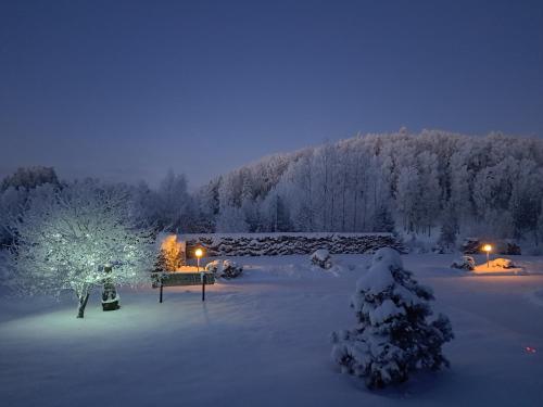 a snow covered yard with trees and lights at Nuustaku Guesthouse in Otepää
