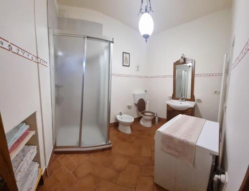 y baño con ducha, aseo y lavamanos. en Podere Buriano, en Arezzo