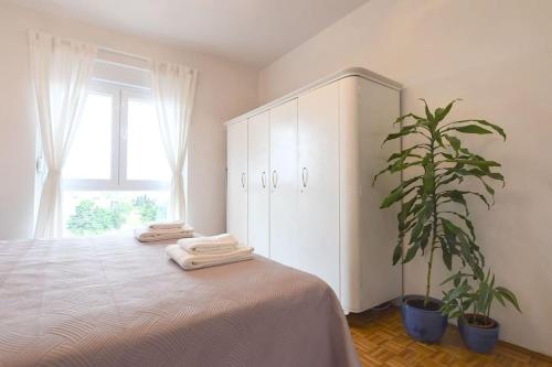 Billede fra billedgalleriet på Apartman Ilijana i Zadar