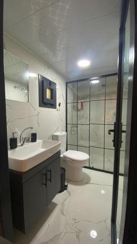 a bathroom with a sink and a toilet at Ayder Çalıkuşu Bungalov in Ayder Yaylasi