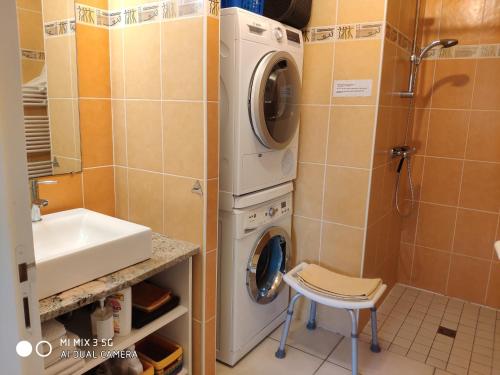 a bathroom with a washing machine and a sink at Gîte de Porspol in Brignogan-Plages