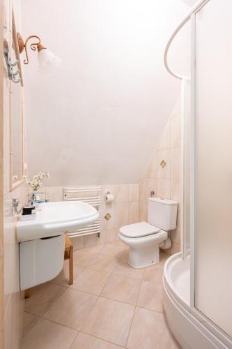 a bathroom with a sink and a toilet and a shower at Willa Bór in Zakopane