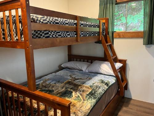 a bedroom with two bunk beds with a giraffe blanket at Camp Lake Bear in South Colton