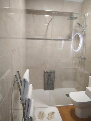 a bathroom with a shower and a toilet at Pension Fercomar in Sanxenxo