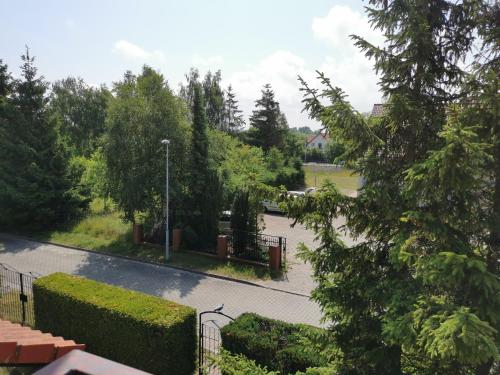 a view of a park with bushes and trees at Dom Sonia in Niechorze