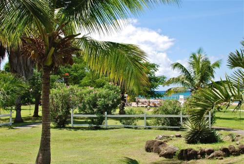 a palm tree in a park with a white fence at Zenith Nevis in Nevis