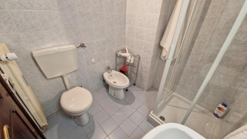 un piccolo bagno con servizi igienici e bidet di [vicino impianti] - Aquila Reale a Sestriere