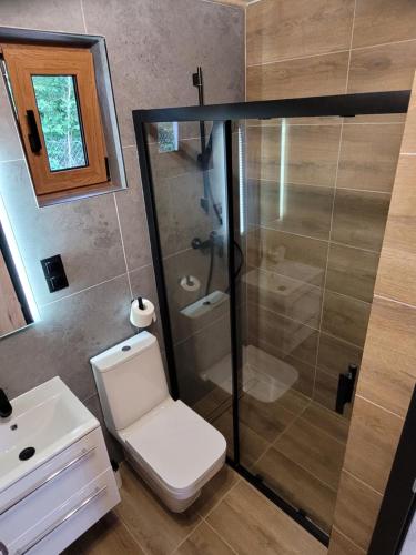 La salle de bains est pourvue d'une douche, de toilettes et d'un lavabo. dans l'établissement Kemping nad stawem, à Harsz