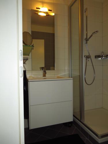a bathroom with a sink and a shower with a glass door at Art Appartement in Niedernsill