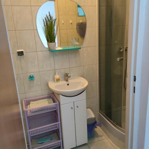 a bathroom with a sink and a shower and a mirror at Agrogospodarstwo HALINA ŁUC in Słajszewo