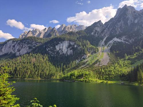 a lake in front of a mountain range at Gasthof Waldwirt in Russbach am Pass Gschütt