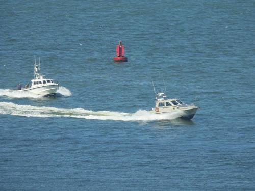 two boats in the water with a red buoy at SeaCityView Oostende in Ostend