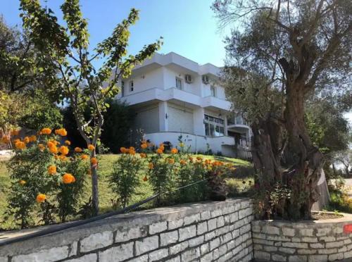 Une grande maison blanche avec une bande d'oranges dans l'établissement Qerana's rooms: Corner of nature, à Golem