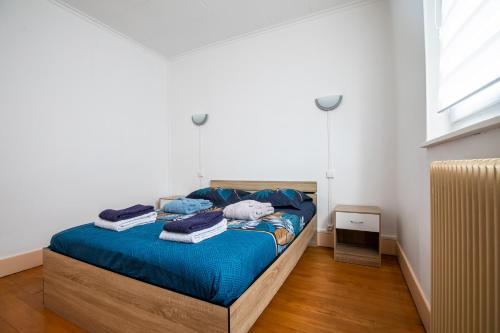 1 dormitorio con cama con sábanas azules y ventana en Le coquet chez Maguy Maison de ville avec jardin en Besanzón