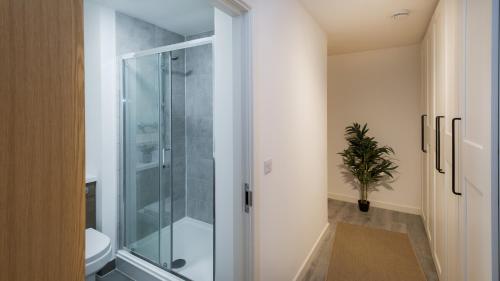 a glass shower in a bathroom with a toilet at Stylish 2 Bed Dundee City Centre Flat in Dundee