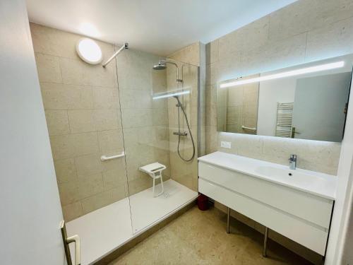 ein Bad mit einem Waschbecken, einer Dusche und einem Spiegel in der Unterkunft Marseille 8ème - T3, 4 couchages, terrasse - proche plage in Marseille