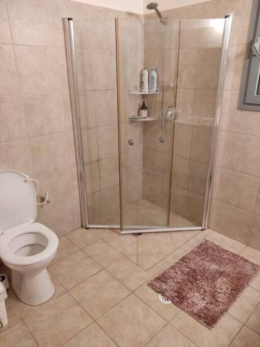 a bathroom with a shower and a toilet at Desert View Home in Ashalim