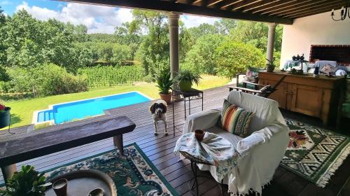 a patio with a dog looking out at a pool at Quinta do Sanguinhal in Rio Maior