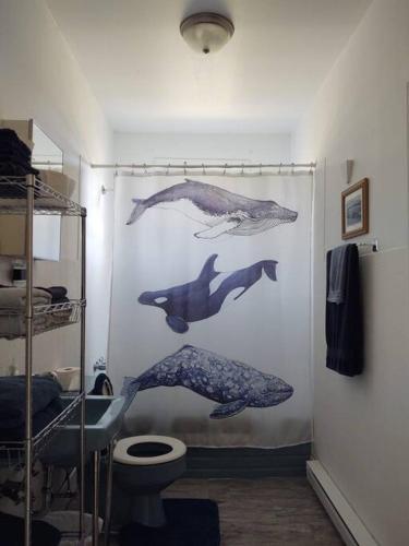 North Sea Whale House – Photos 3