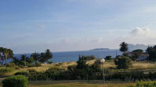uma vista para o oceano com palmeiras e uma casa em BEAU STUDIO FRONT DE MER 2 mn DE LA PLAGE em La Ciotat