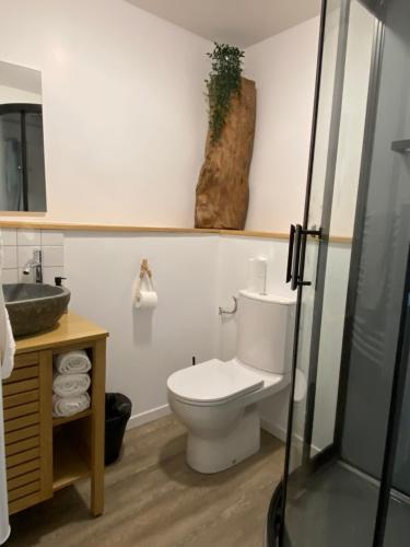 a bathroom with a toilet and a sink at L’escapade de Tali in Talizat