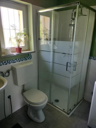 ein Bad mit einem WC und einer Glasdusche in der Unterkunft Casa relax immersa nel verde della natura in Casalborgone