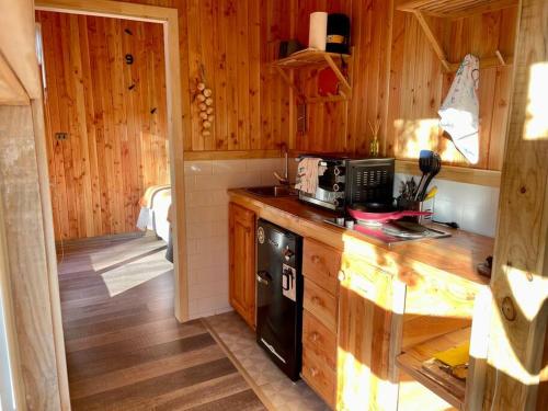 a kitchen with wooden walls and a counter with a microwave at Tinyhouse Licanray in Licán Ray