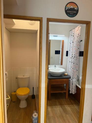ein Badezimmer mit einem Waschbecken, einem WC und einer Badewanne in der Unterkunft Piste verte à Peyragudes T2 4-6P, proche Loudenvielle in Loudenvielle