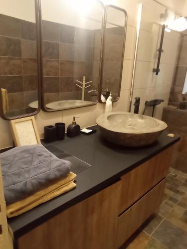 a bathroom with a large sink on a counter at 21lemonde in Le Brignon