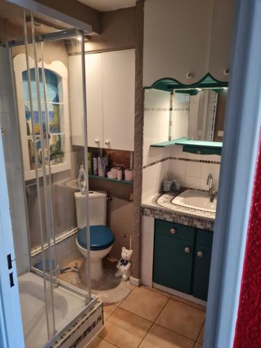 La petite salle de bains est pourvue de toilettes et d'un lavabo. dans l'établissement Appartement cap d agde, au Cap d'Agde