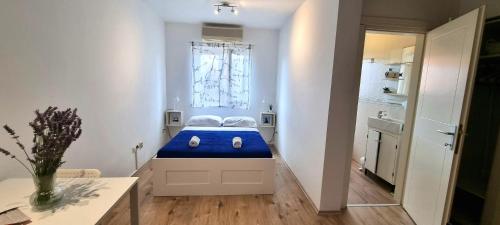 Tiny Studio Big living