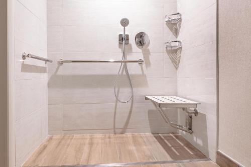 a bathroom with a shower with a sink and a shower at Sheraton Ann Arbor Hotel in Ann Arbor