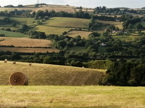 a view of a field with hay bales at The Holcombe Hut, Ridgefield House in Longdown