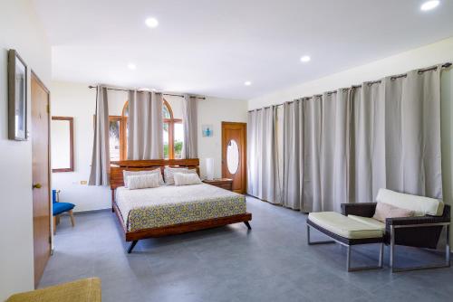 a bedroom with a bed and a couch and a chair at Bubali Villa in Palm-Eagle Beach
