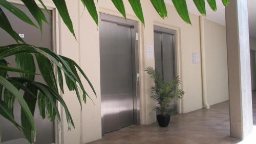 a hallway with two doors and a plant at Edge Apartments Cairns in Cairns