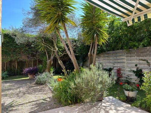 a garden with palm trees and plants and a fence at Villa Marinette in Juan-les-Pins